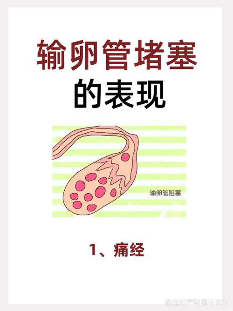 了解男性生育力:全面检查的重要性